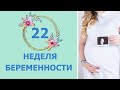 22 Неделя Беременности. Развитие плода и ощущения мамы