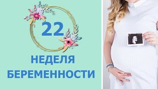 картинка: 22 Неделя Беременности. Развитие плода и ощущения мамы