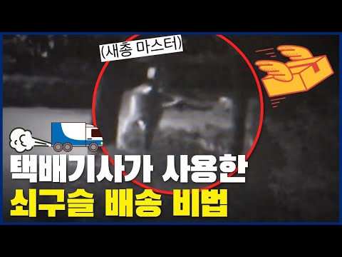 택배기사가 사용한 <strong>쇠구슬</strong> 배송 비법(a.k.a.새총마스터?)