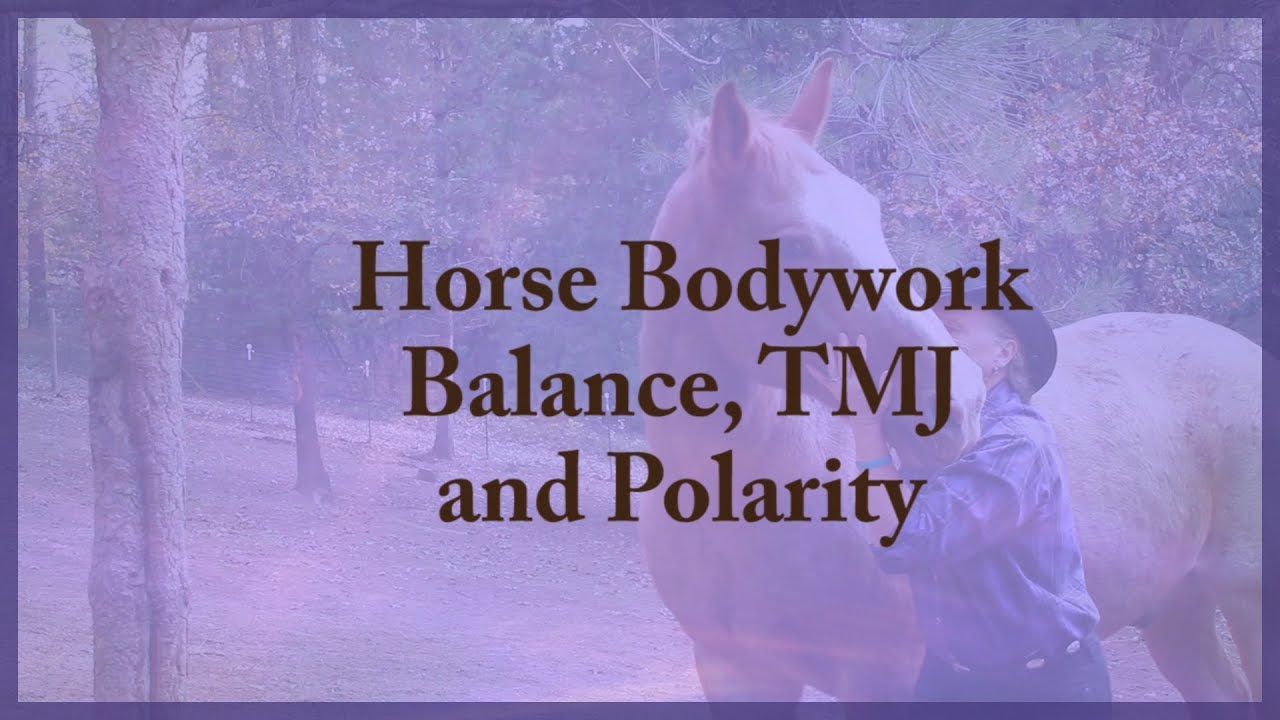 Horse Bodywork - Balance, TMJ & Polarity
