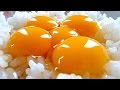Eating Japanese food "Five raw eggs over rice" Tamago kake gohan (ASMR)