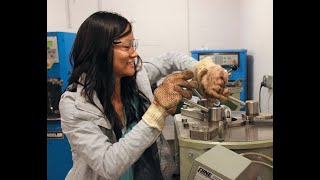 Evaluation & Compaction of Laboratory-Produced Recycled Asphalt Pavement in Cold In-Place Recycling