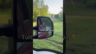 6.0 powerstroke getting nasty