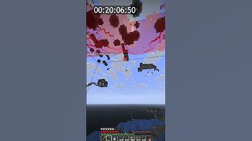 Finding a base on donut SMP