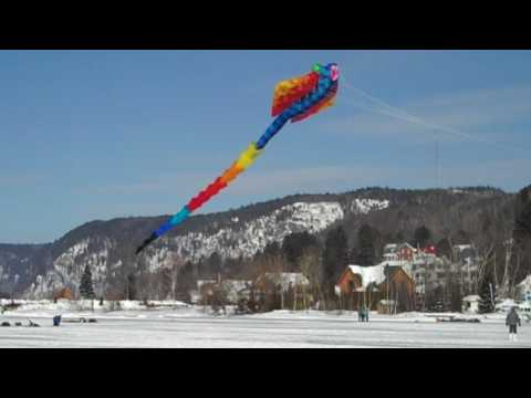 The Giant Manta Ray Kite flown by Yves Laforest