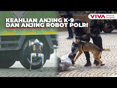The Fierce Action of K-9 Dogs to Police Robot Dogs on the 79th Anniversary of Bhayangkara