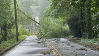 Overnight storms leave thousands without power