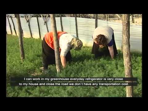 ENPARD - ის წარმატებული ისტორიები - კოოპერატივი ,,დოვლათი''