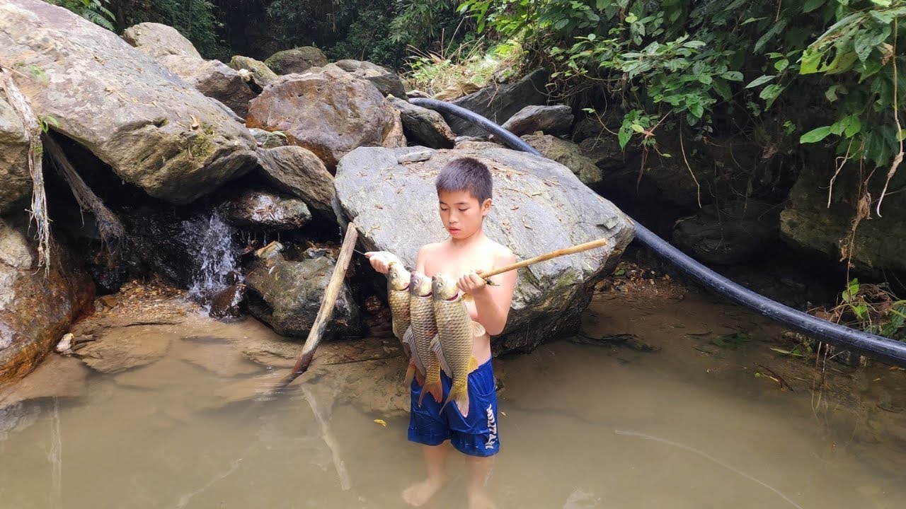 The boy Phu made a trap and caught a school of big fish in a wild ...