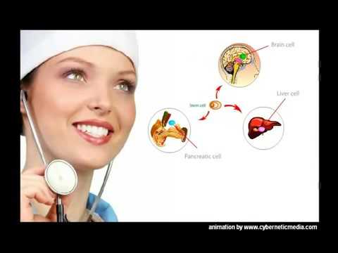 Teknologi CellMaxx AFA