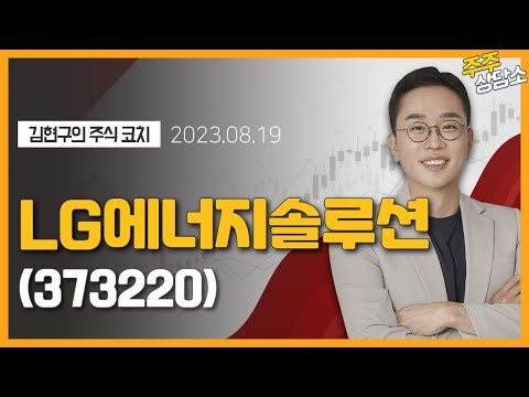 LG에너지솔루션 373220 김현구 전문가 종목 상담 20230819 