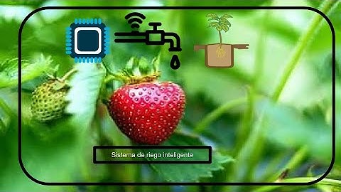Proyecto Sistema de riego inteligente (Huerta, ESP32 ) smart garden