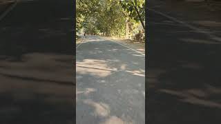 Chala Jata Hoon Kisi Ki Dhun Mein   Kishore Kumar  