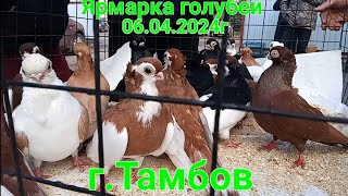 Ярмарка голубей в г. Тамбов