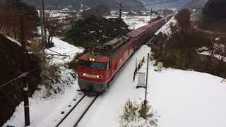 8時間遅延のEF510-13牽引 3097レ