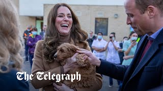 video: It’s puppy love as Prince William and Kate make friends with cockapoo Alfie on hospital visit