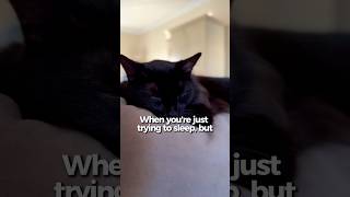 Ugh…what do you want?