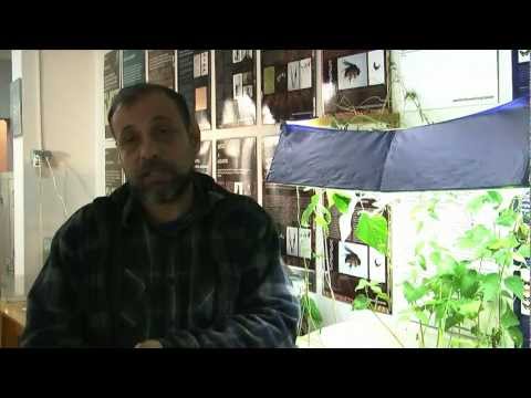 ეკოლოგიის ინსტიტუტი