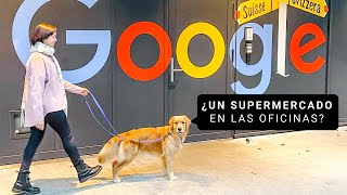 🤩 LA OFICINA DONDE VAS A QUERER TRABAJAR 🌍 Google, Suiza