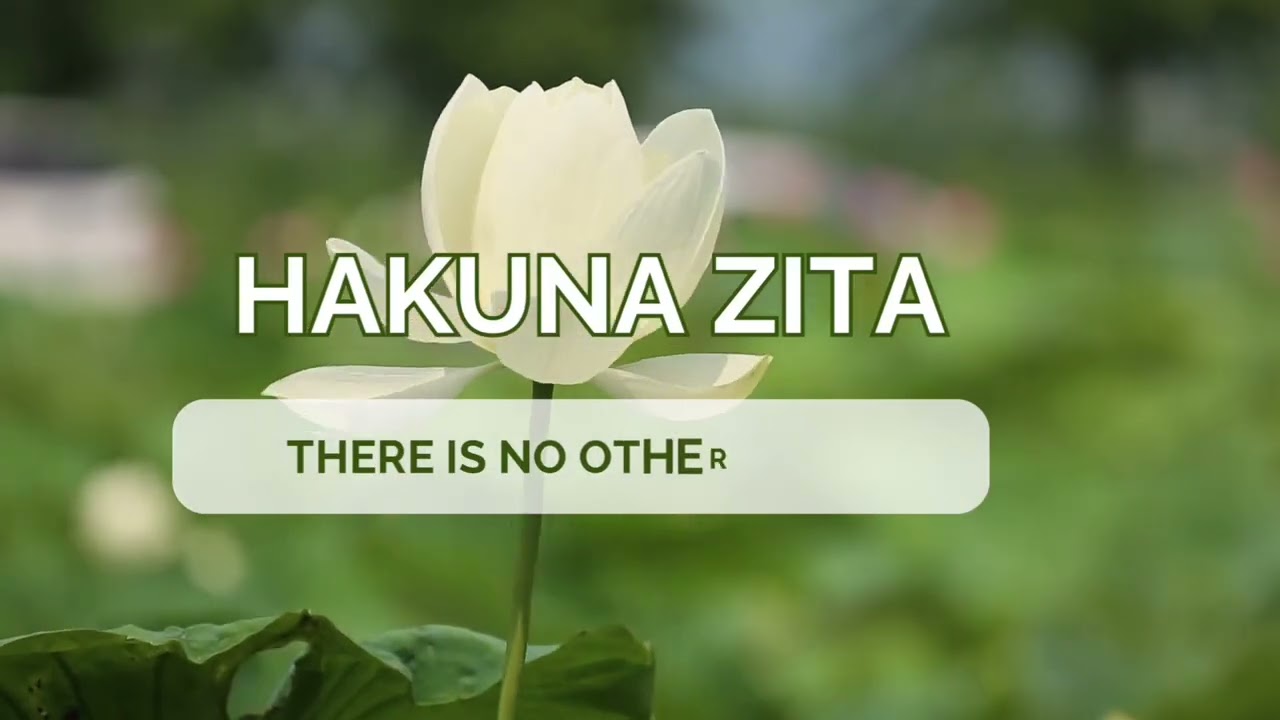 Hakuna zita  / shona hymn cover track 