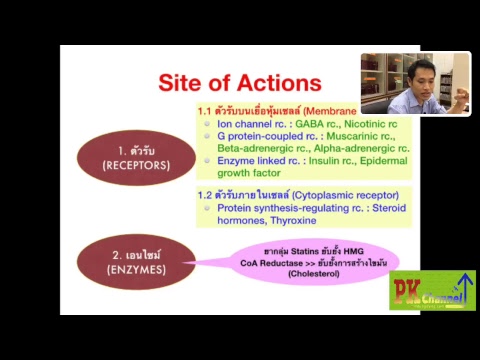 Pharmacodynamics_ทบทวนความรู้_เทคนิคเภสัชกรรมปี 1SCPHUB