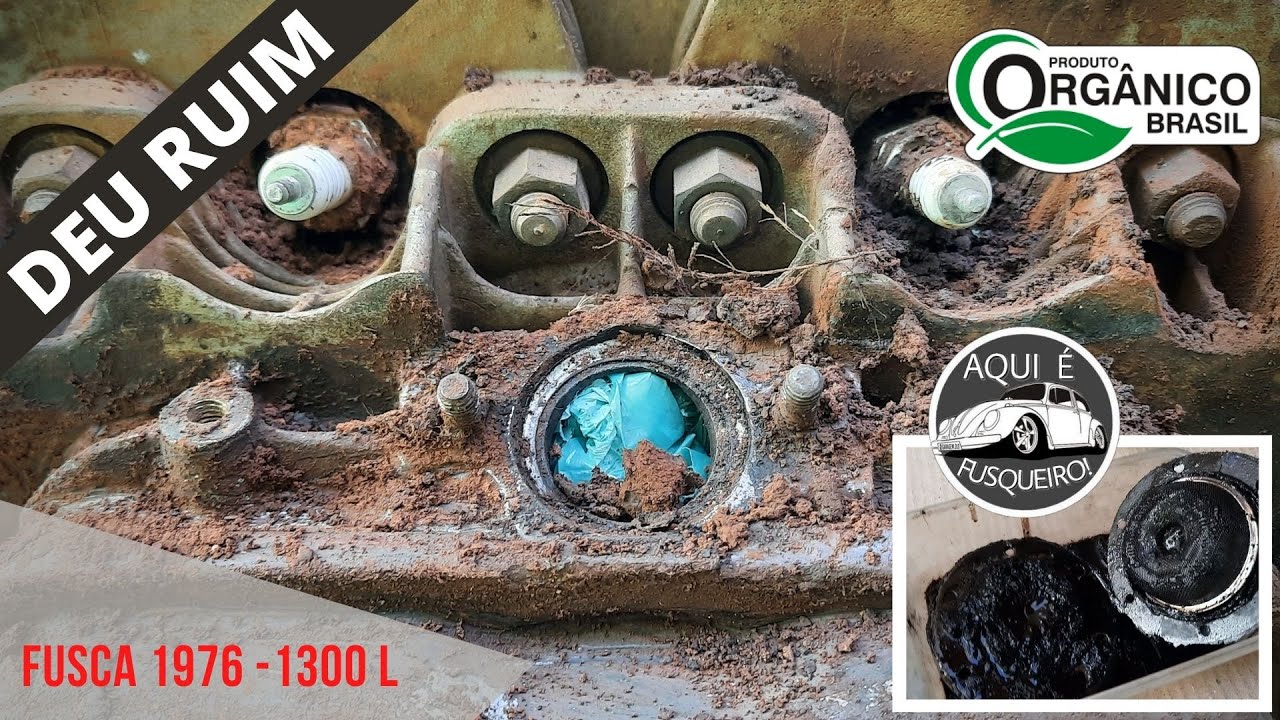 Tava bom demais pra ser verdade kkkk, mas vida real do fusqueiro sempre reserva surpresas!