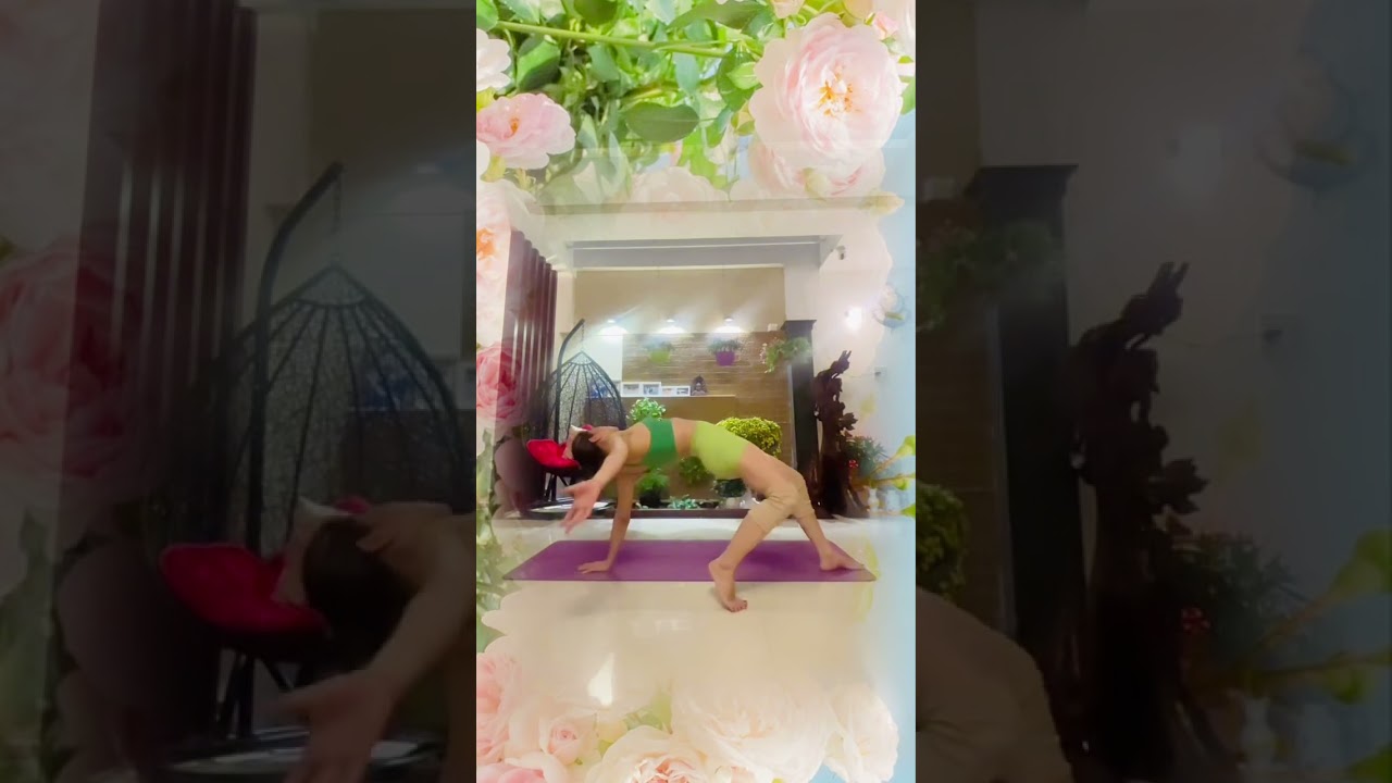 flow yoga 🎼Chân tình 🎤Ai cover ✍️Thu Hồng Pink