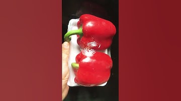 Ớt chuông Đà Lạt 🫑 #shortvideo #subscribe #shortsvideo #shorts #short #youtubeshorts