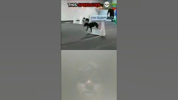 This Dog can beat Flash 💀#troll#trollface #trollfaceedit