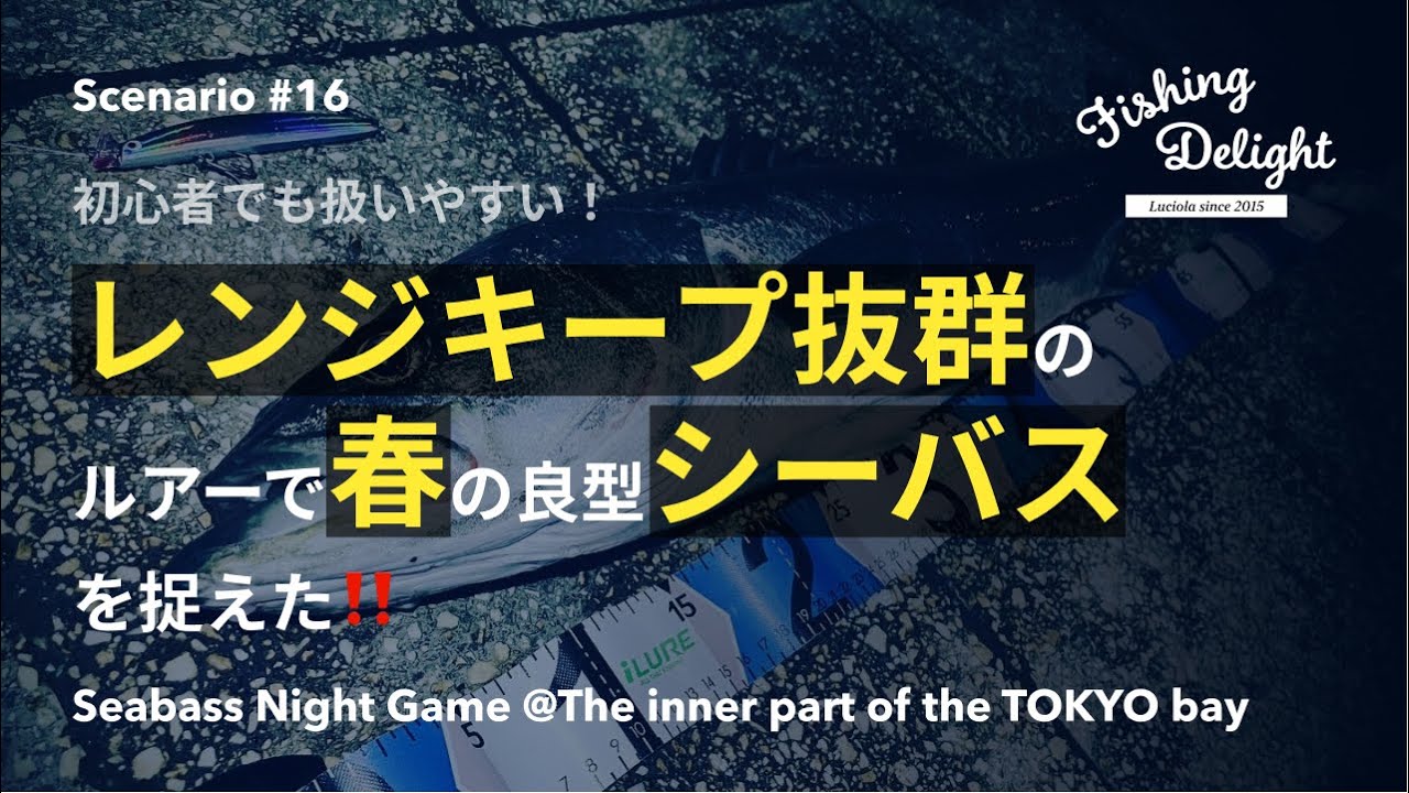 シーバス 初心者でも扱いやすい レンジキープ力抜群のルアーで春の良型シーバスを捉えた 4月マイクロベイトパターン シーバス ナイトゲーム 東京湾奥 Scenario 16 Youtube