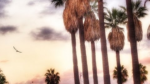 Cadence Kid - Hold on Me