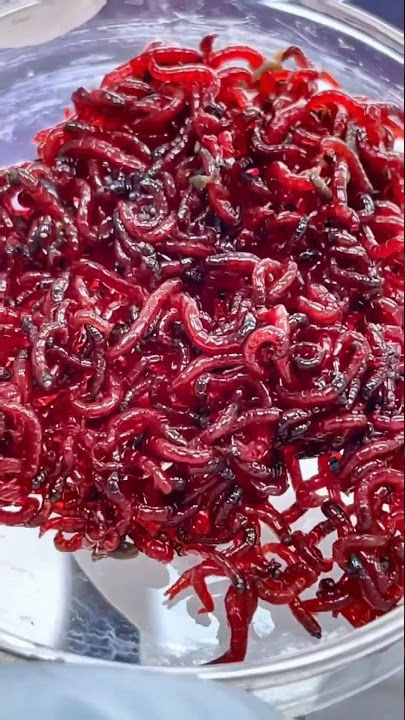 Resident Evil Worms Virus