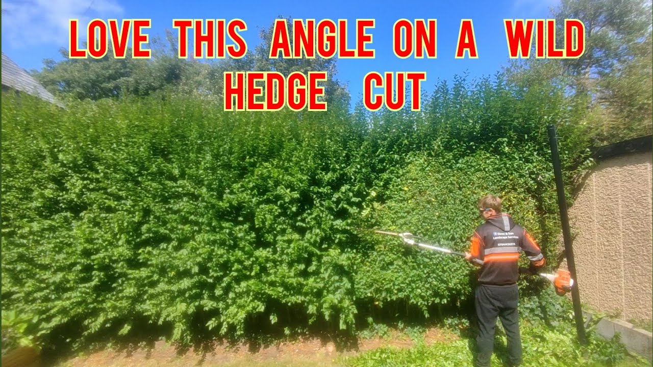 HOW WILD ARE THESE HEDGES THIS YEAR 💥💥 - YouTube