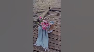 تلاوة هادئة بصوت جميل 🎧 قران كريم طمأنينه لقلبك ❤️ اللهُم‌ أيام‌ مليئة بلطفك 🤲🏻 #short #quran