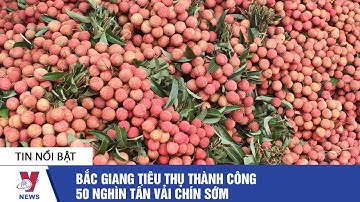 Bắc Giang tiêu thụ thành công 50 nghìn tấn vải chín sớm - VNEWS