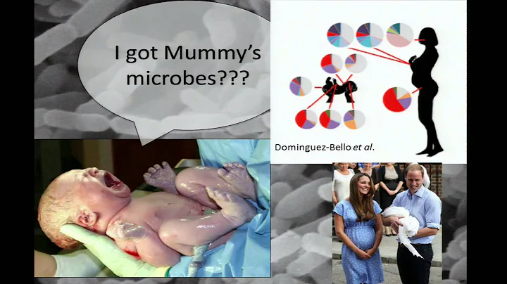 Microbiome Colonization and Assembly - Ruth Ley