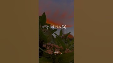 قَالَ رَبِّ اشْرَحْ لِي صَدْرِي | سورة طه - الشيخ المنشاوي
