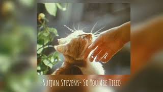 °Sufjan Stevens - So You Are Tired