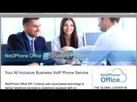 IDT/Net2Phone Office Partner Portal Walkthrough