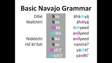 Basic Navajo Grammar