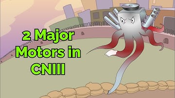 2 Major Motors in CNIII (Step 1, COMLEX, NCLEX®, PANCE, AANP)