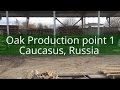 Oak production point 1 caucasus russia