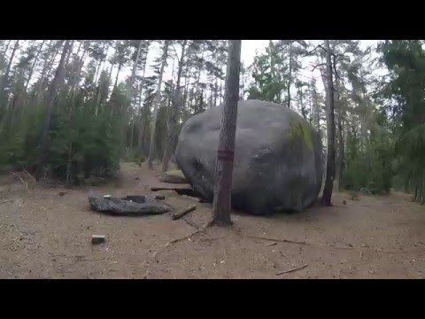 Video: Zemřel Michail Shchetinin - zakladatel slavného lycea Shchetinin