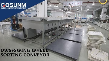 Swing wheel sorting machine with DWS,Sorting conveyor,Logistics Solutions