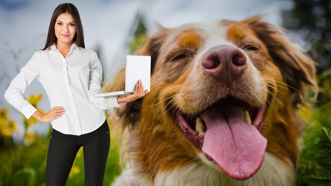 The Most Important Thing For Dog Daycare Business Owners To Know