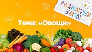 Занятия для дошкольников | Развитие речи | Тема: Овощи