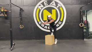 Single Leg Box Step Up (No Push Off)