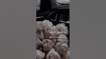 #راحة_نفسية #قرآن #القرآن_الكريم #تلاوات #المصحف #الرحمن #تلاوة_خاشعة
