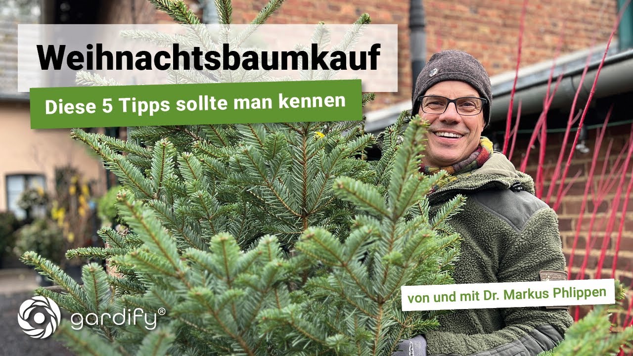 unkrautvernichter und dünger für rasen Rasendünger mit Unkrautvernichter 2in1 – SUPERGREEN