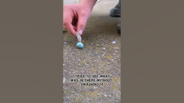 What Was Wrong With This Bird Egg!! #birdegg